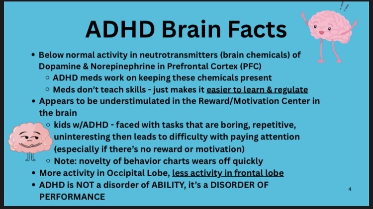 An image describing ADHD Brain Facts